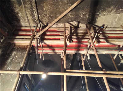 香港摇钱树资料网