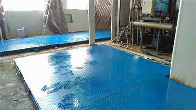 香港摇钱树资料网