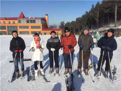 香港摇钱树资料网