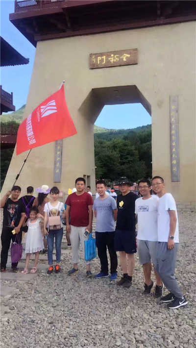 香港摇钱树资料网