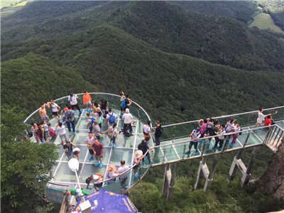 香港摇钱树资料网