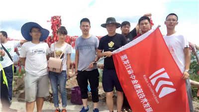 香港摇钱树资料网