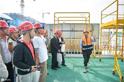 香港摇钱树资料网