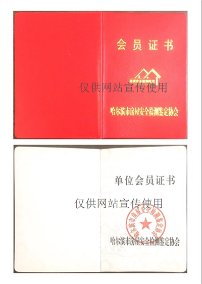 香港摇钱树资料网