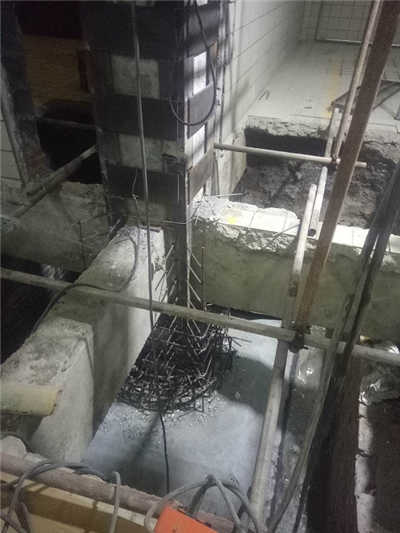 香港摇钱树资料网