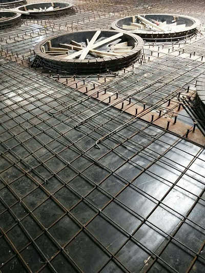 香港摇钱树资料网