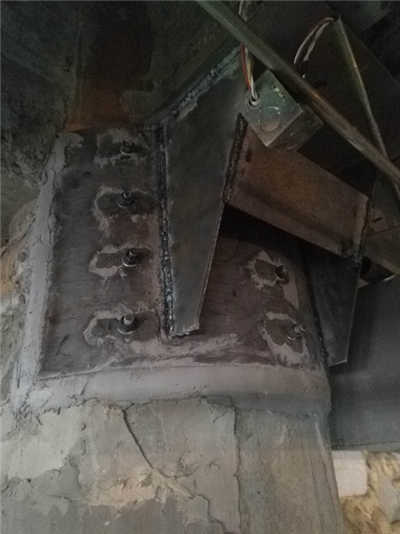 香港摇钱树资料网