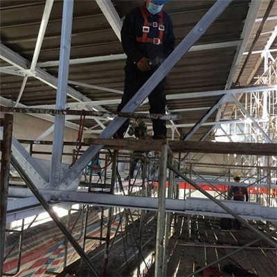 香港摇钱树资料网