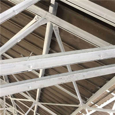 香港摇钱树资料网