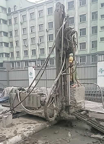 香港摇钱树资料网