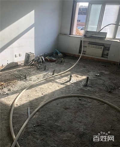 香港摇钱树资料网