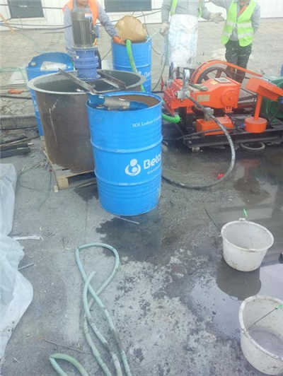 香港摇钱树资料网