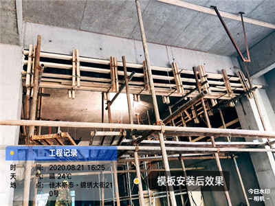 香港摇钱树资料网