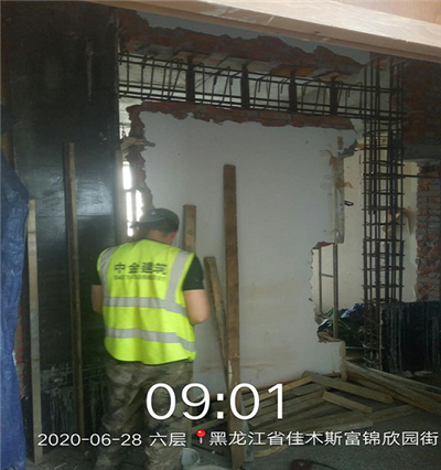 香港摇钱树资料网