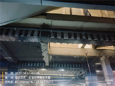 香港摇钱树资料网