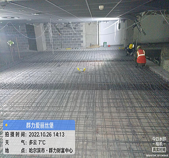 香港摇钱树资料网