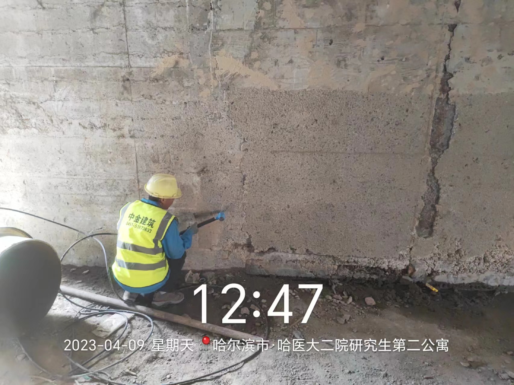 香港摇钱树资料网