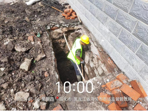 香港摇钱树资料网