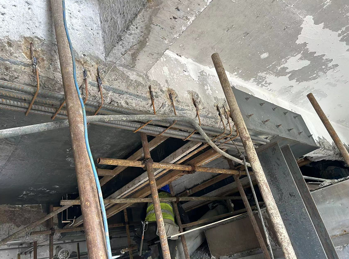 香港摇钱树资料网