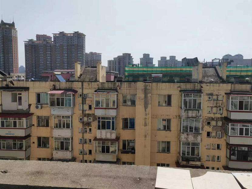香港摇钱树资料网