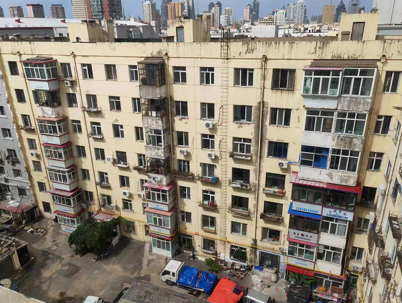 香港摇钱树资料网