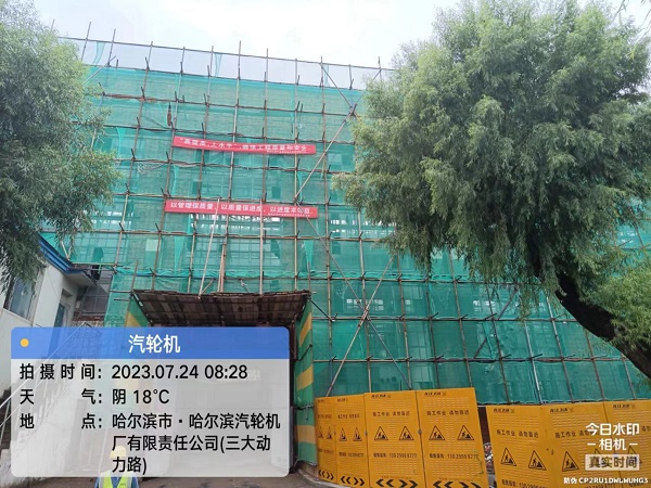 香港摇钱树资料网