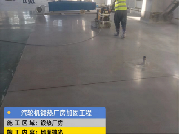 香港摇钱树资料网