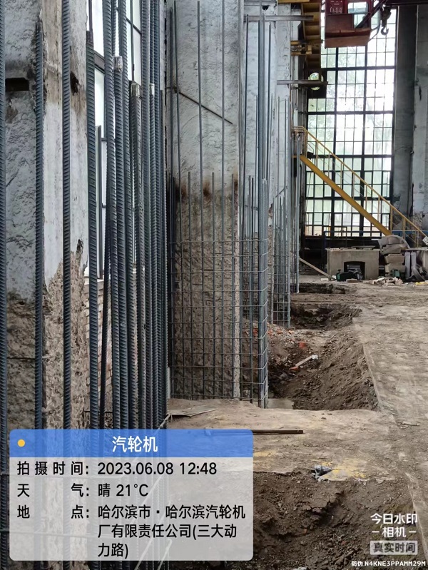 香港摇钱树资料网