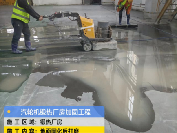 香港摇钱树资料网