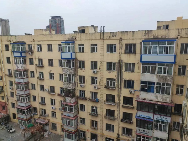 香港摇钱树资料网