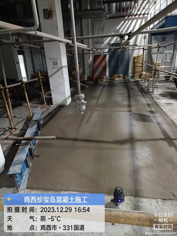 香港摇钱树资料网