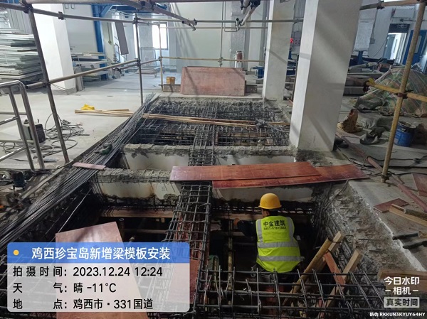 香港摇钱树资料网