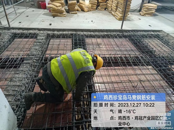 香港摇钱树资料网