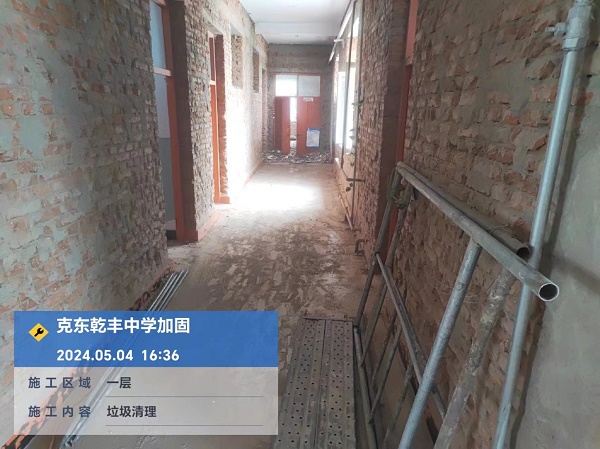 香港摇钱树资料网