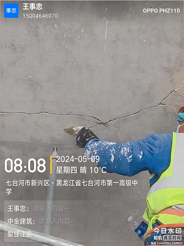 香港摇钱树资料网