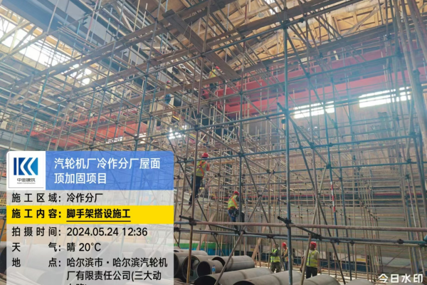 香港摇钱树资料网