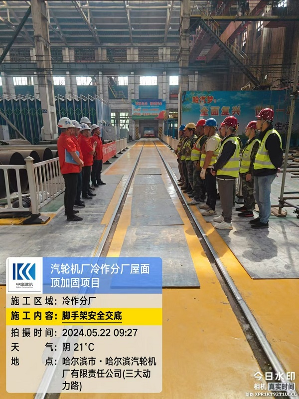香港摇钱树资料网