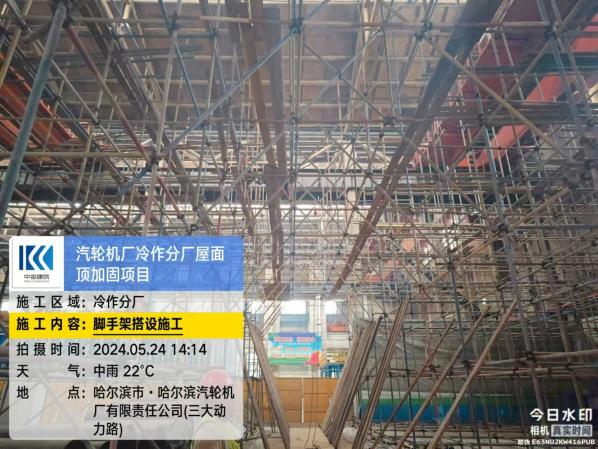 香港摇钱树资料网