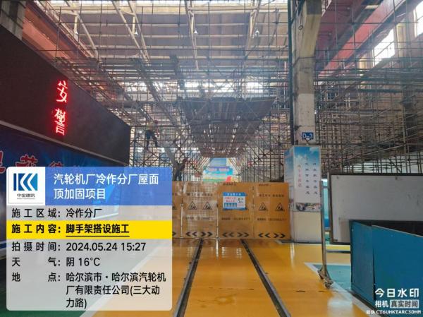 香港摇钱树资料网
