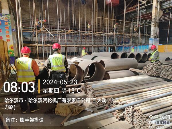 香港摇钱树资料网