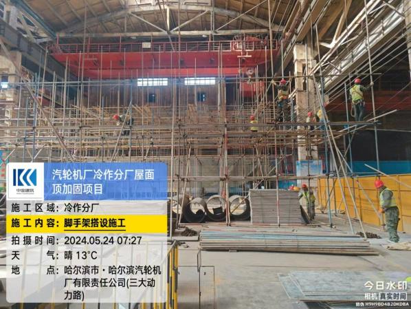 香港摇钱树资料网