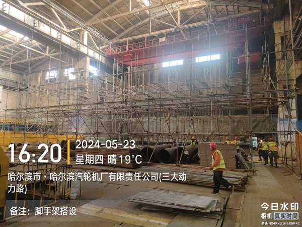 香港摇钱树资料网