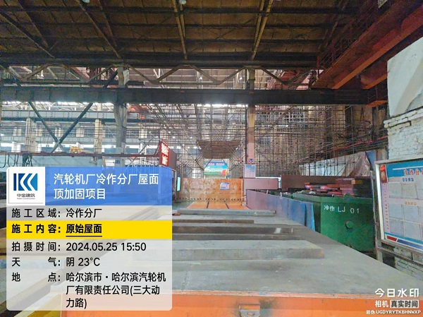香港摇钱树资料网