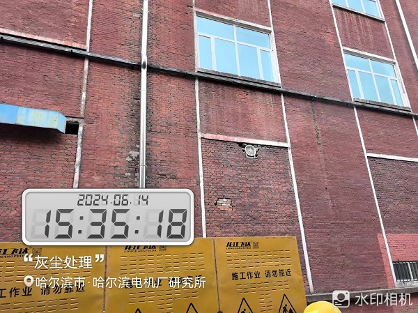 香港摇钱树资料网