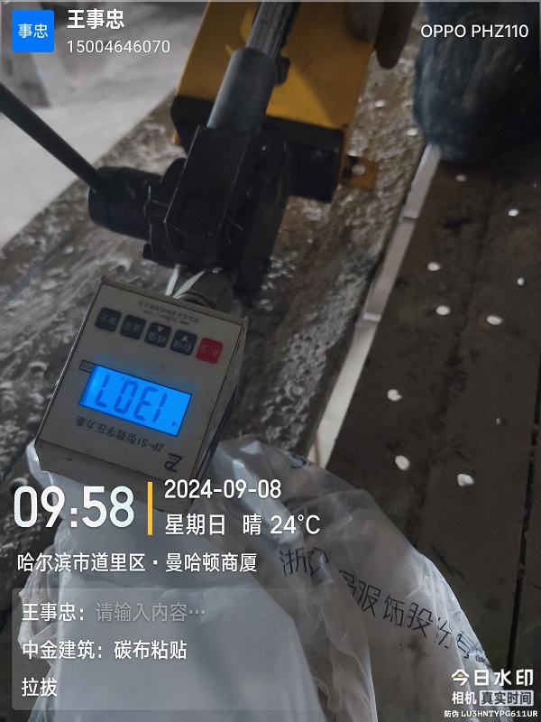香港摇钱树资料网