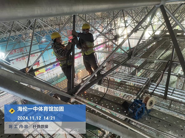 香港摇钱树资料网