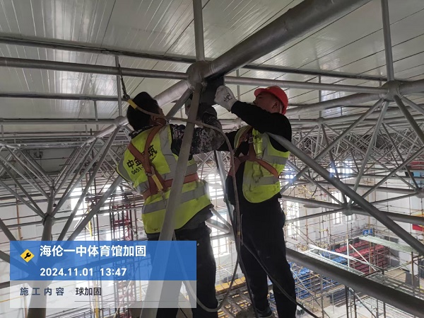 香港摇钱树资料网