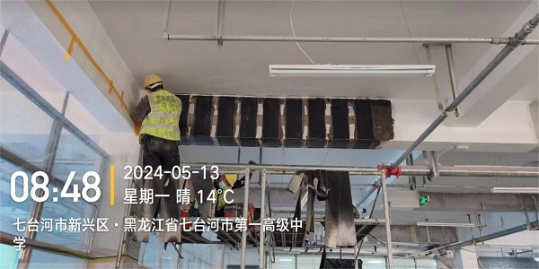 香港摇钱树资料网