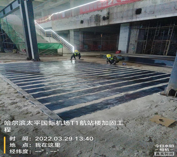 香港摇钱树资料网