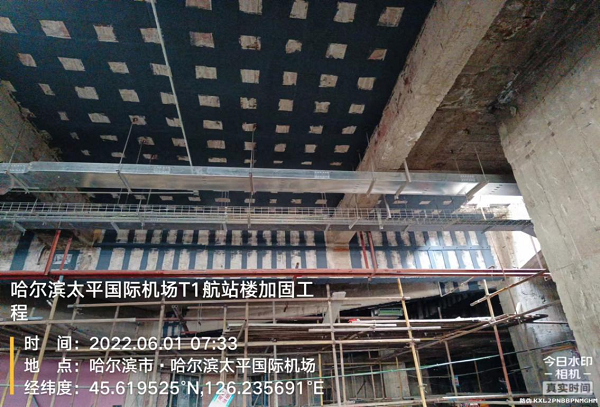 香港摇钱树资料网